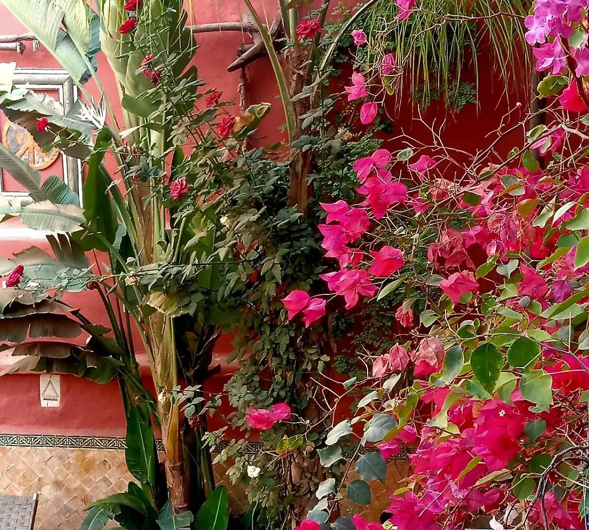 Maison Des Maitres Marrakesh