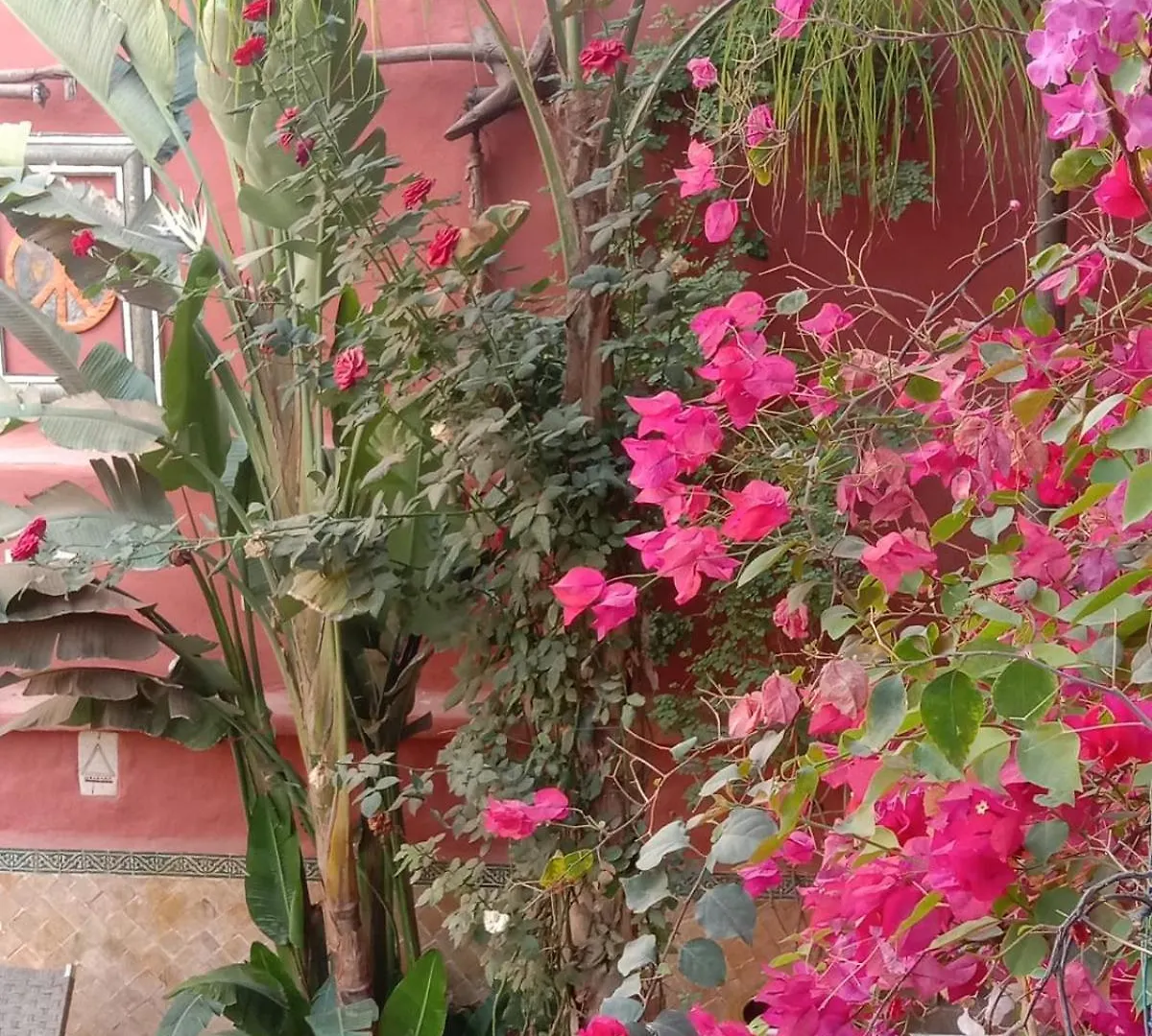 Maison Des Maitres Marrakesh Marokko