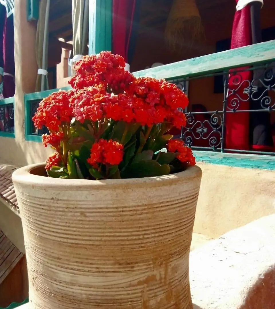 Lejlighed Maison Des Maitres Marrakesh